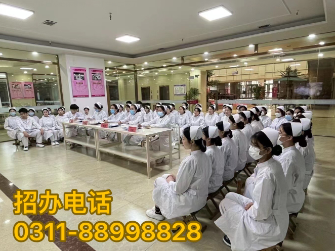 石家莊天使護士學校2025年春季招生專業