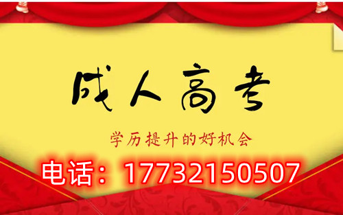 干貨！備考必讀，成考不踩雷！